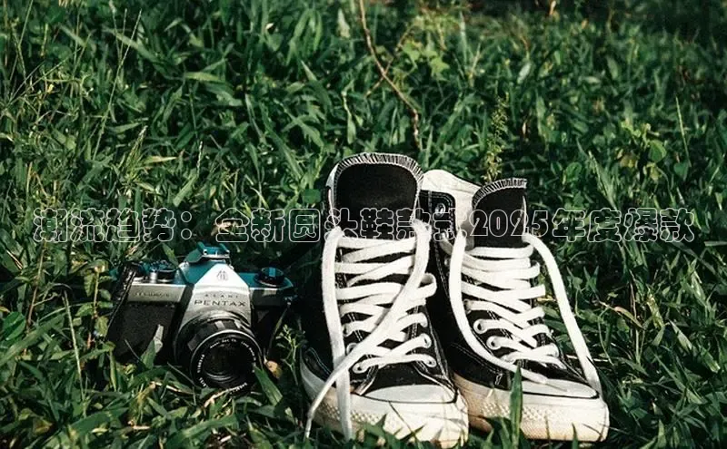 B—sports红标版本