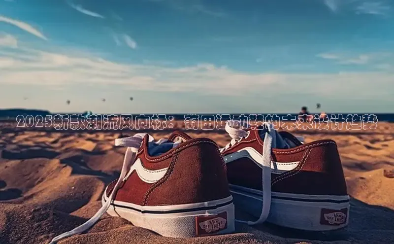 B—sports红标版本